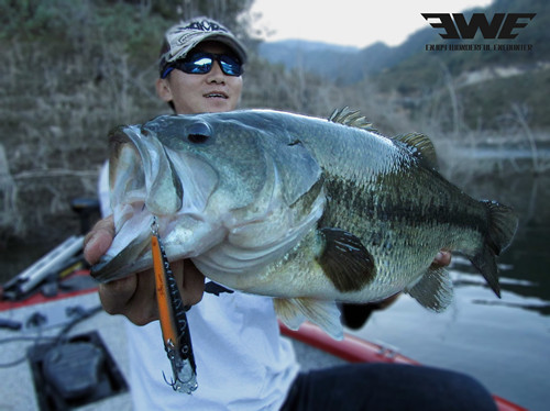 云南小灣水庫(kù)釣獲大魚(yú)競(jìng)猜